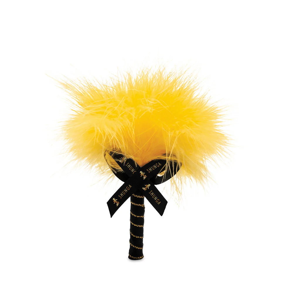 Image du produit 13