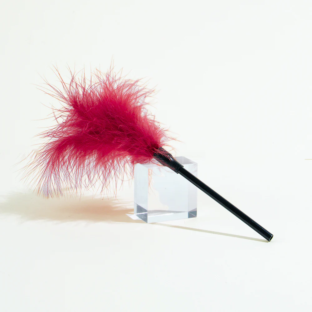 Image du produit 11